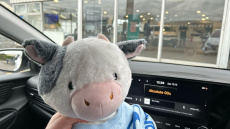 Hyundai i20 1.0T GDi 48V MHD Premium 5dr Petrol Hatchback